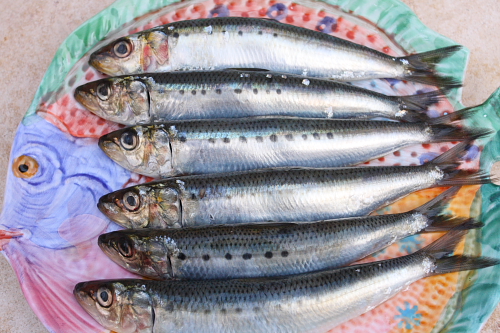 Is It Safe To Eat Sardines During Pregnancy?